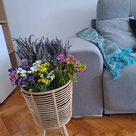 Apartment Rainbow *